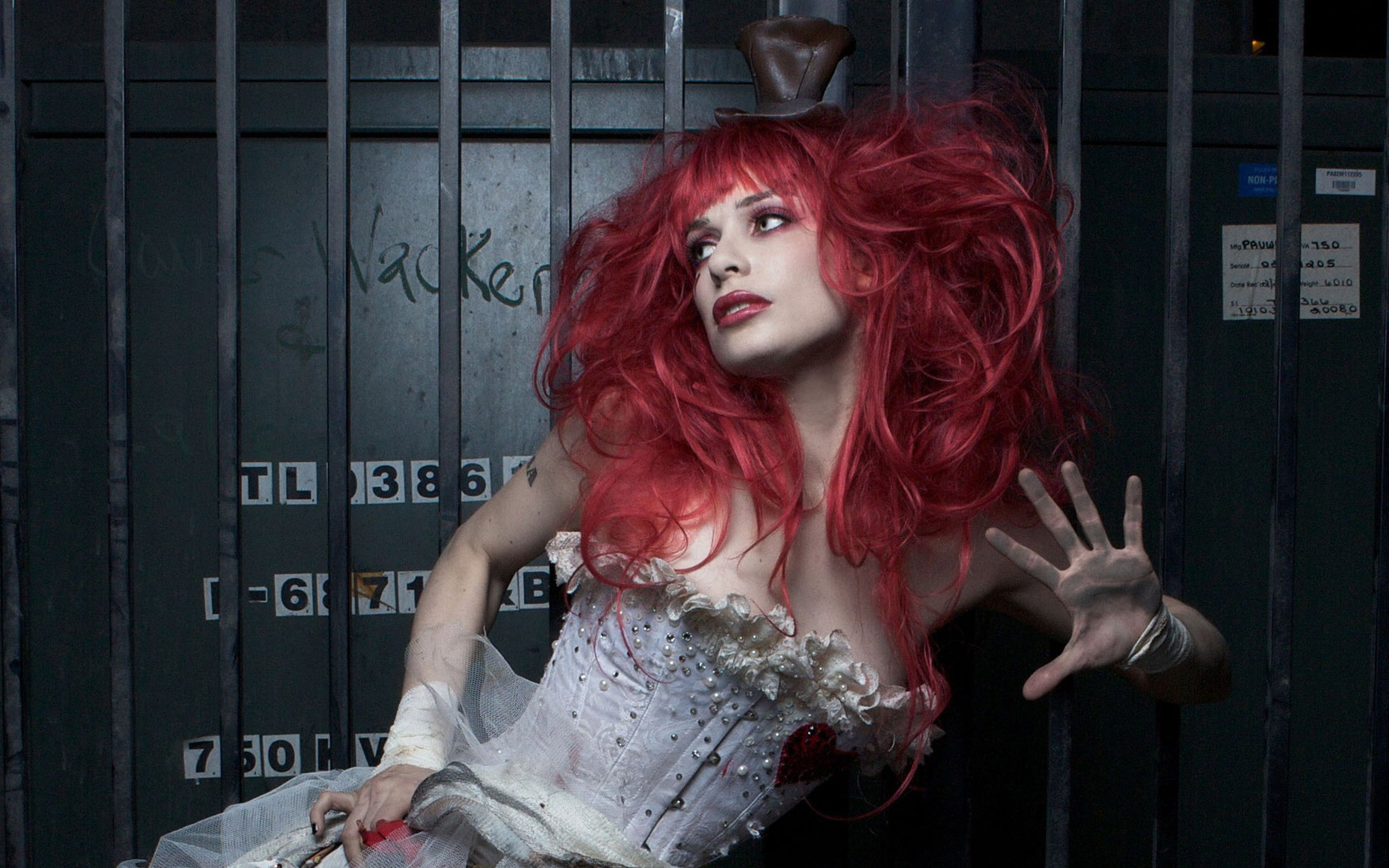 Emilie Autumn wallpaper 18387 1728x1080