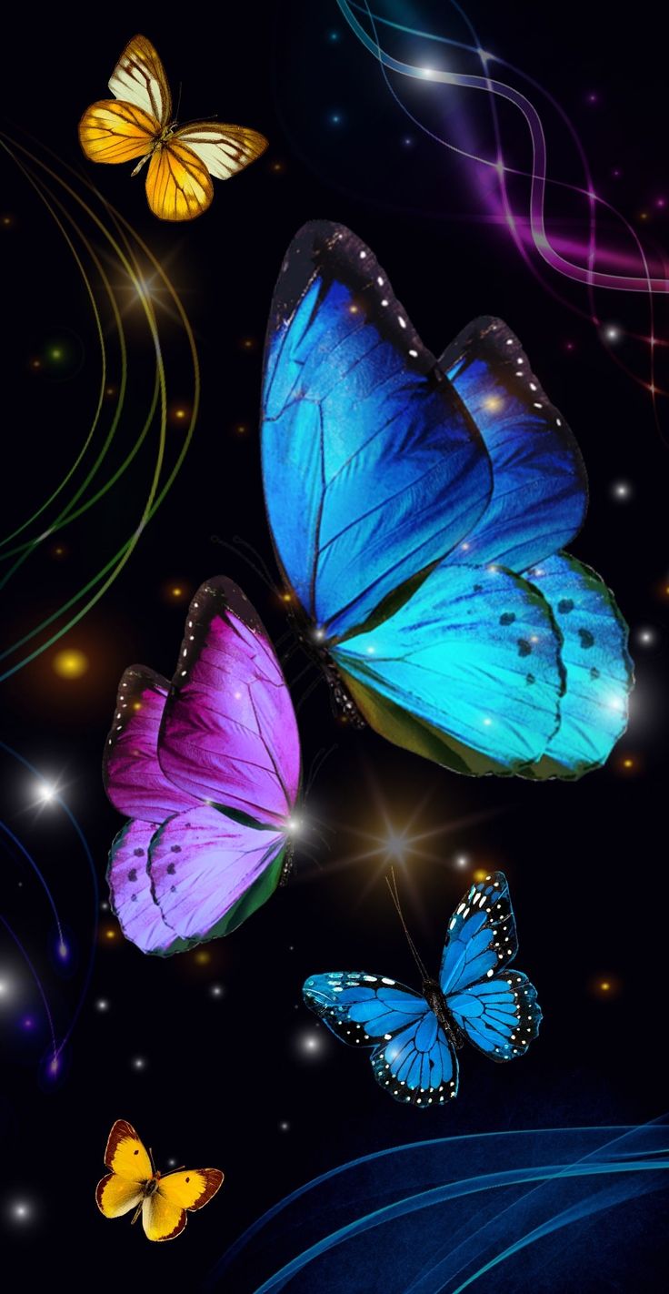 Siobhan Casey On Butterfly Wallpaper