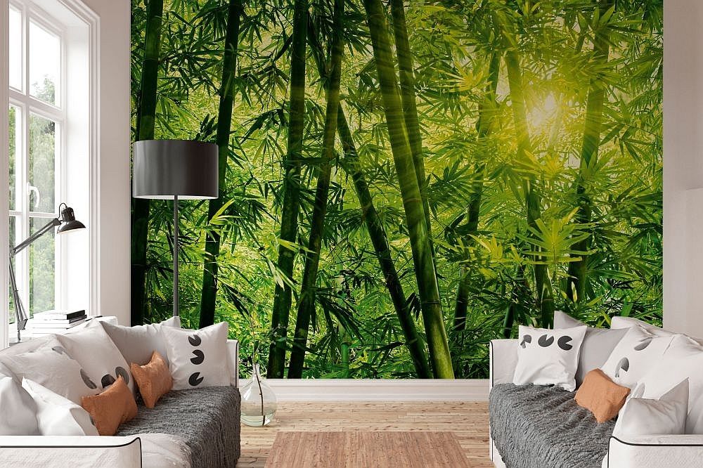 Photo Wallpaper Bamboo Forest Wall Mural Design
