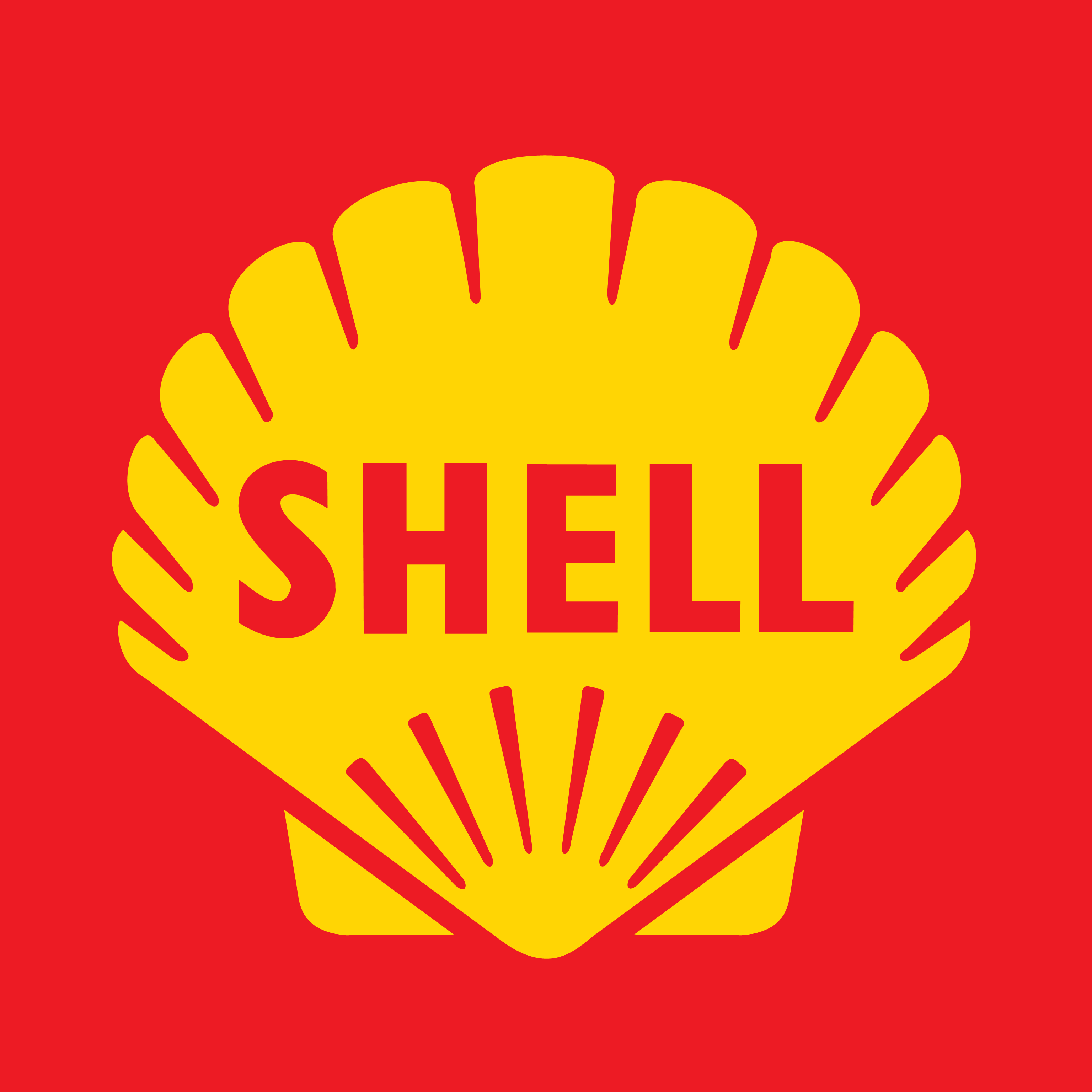 Royal Dutch Shell Wallpaper Image Photos Picture