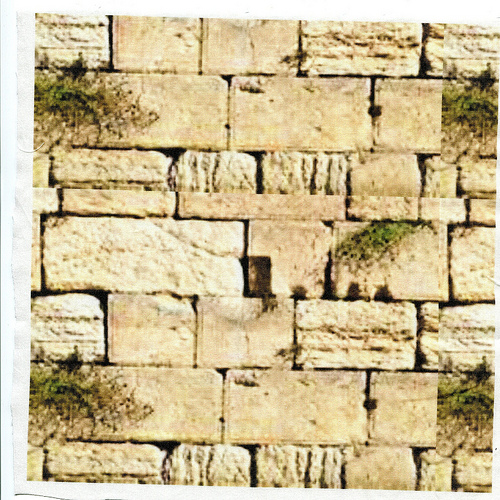 Western Wall Fabrics Wallpaper Decal Gift Wrap Use With