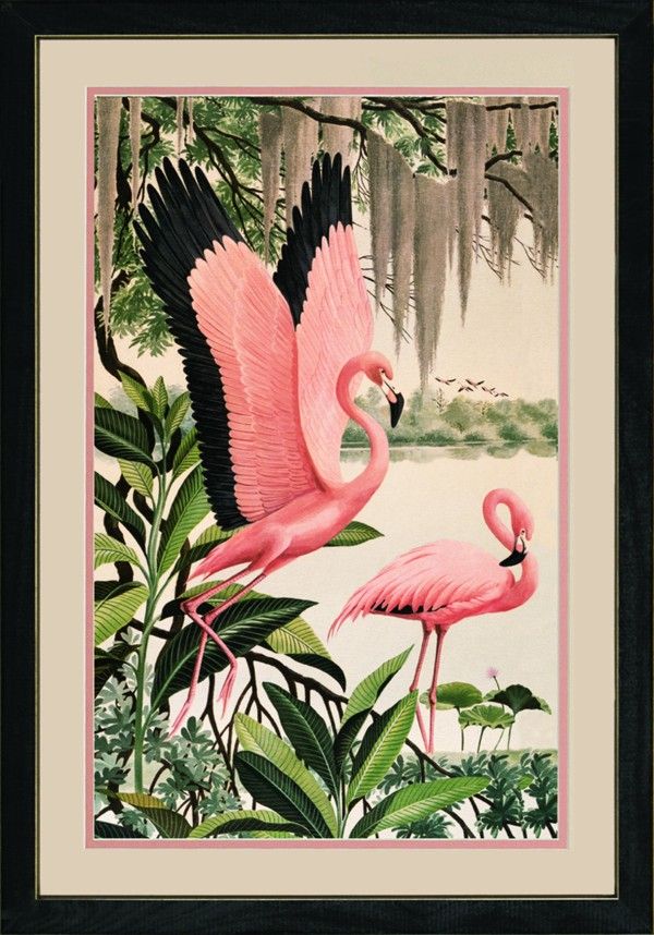 Gallery Graphics Wholesale Wall Art And Gifts Flamingo