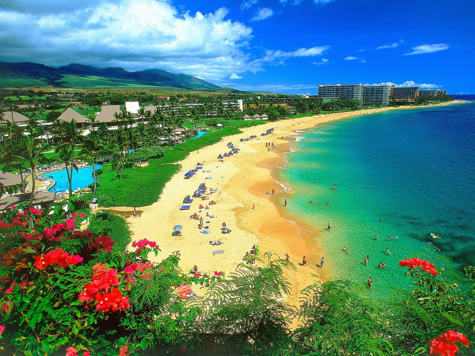 Hawaii Islands Beach Waterfall HD Wallpaper
