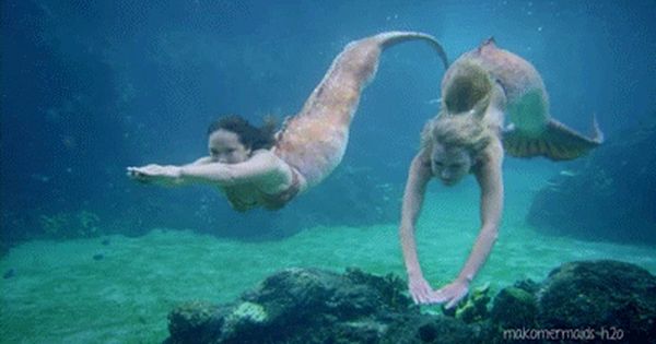 Sirena Mako Mermaids Pesquisa Google