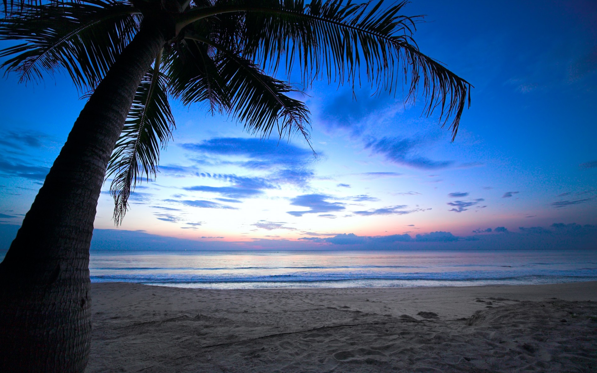 Tropical Sunset Palm Tree HD Wallpaper