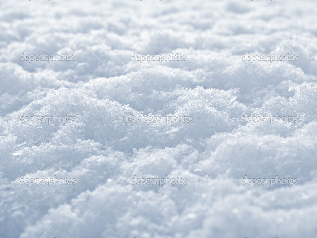 Snow Globe Image HD Wallpaper Background Christmas