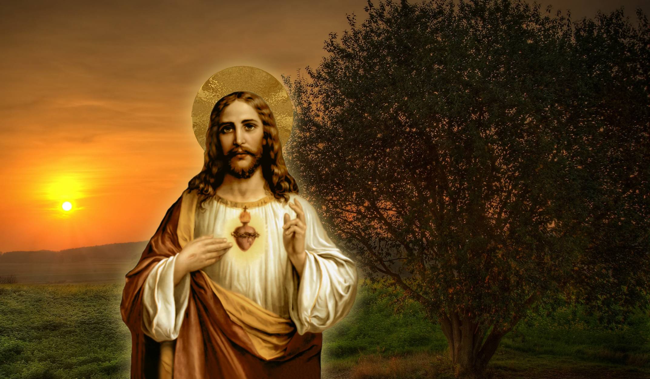 60+] Sacred Heart Of Jesus Wallpaper - WallpaperSafari