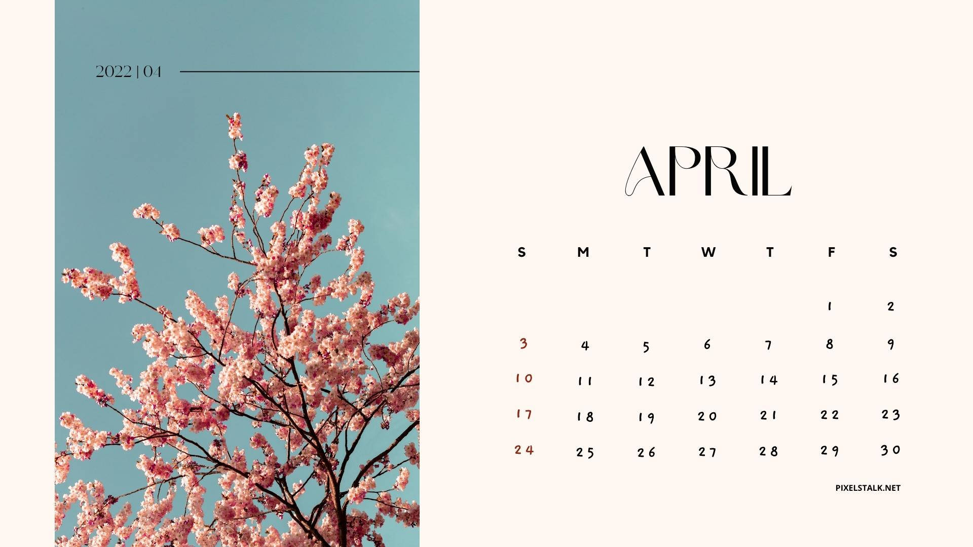 Cherry Blossoms April Calendar Wallpaper