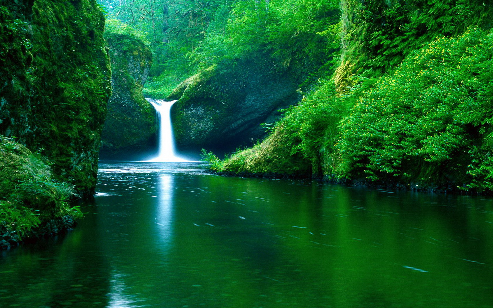 Home Bulk Wallpaper Cool Desktop