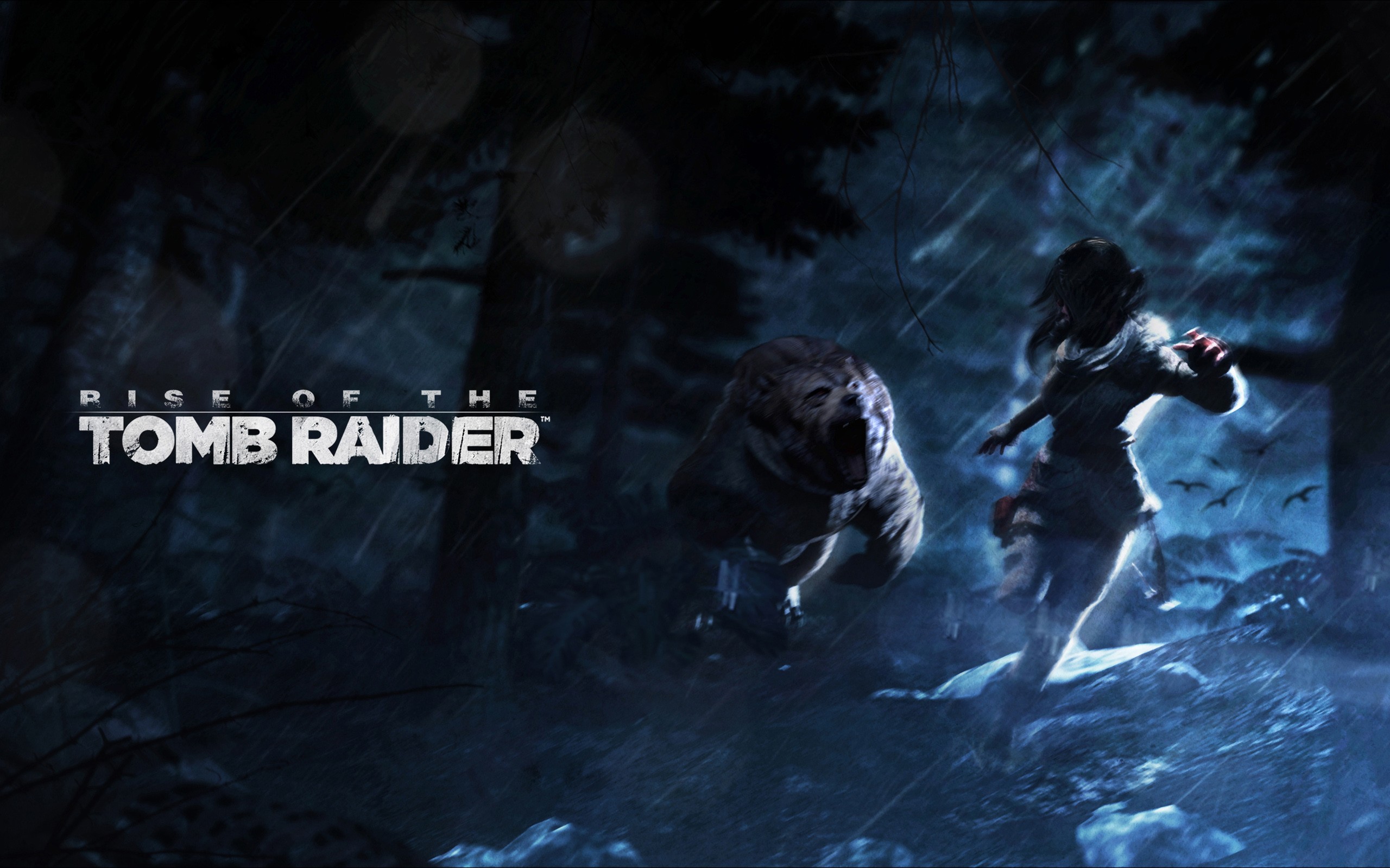 Rise Of The Tomb Raider Game 2016 HD Games 4k Wallpapers Images  Backgrounds Photos and Pictures