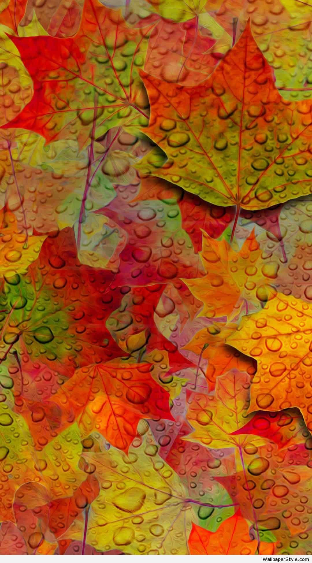 N M Raja On Sai Baba iPhone Wallpaper Fall Autumn Leaves