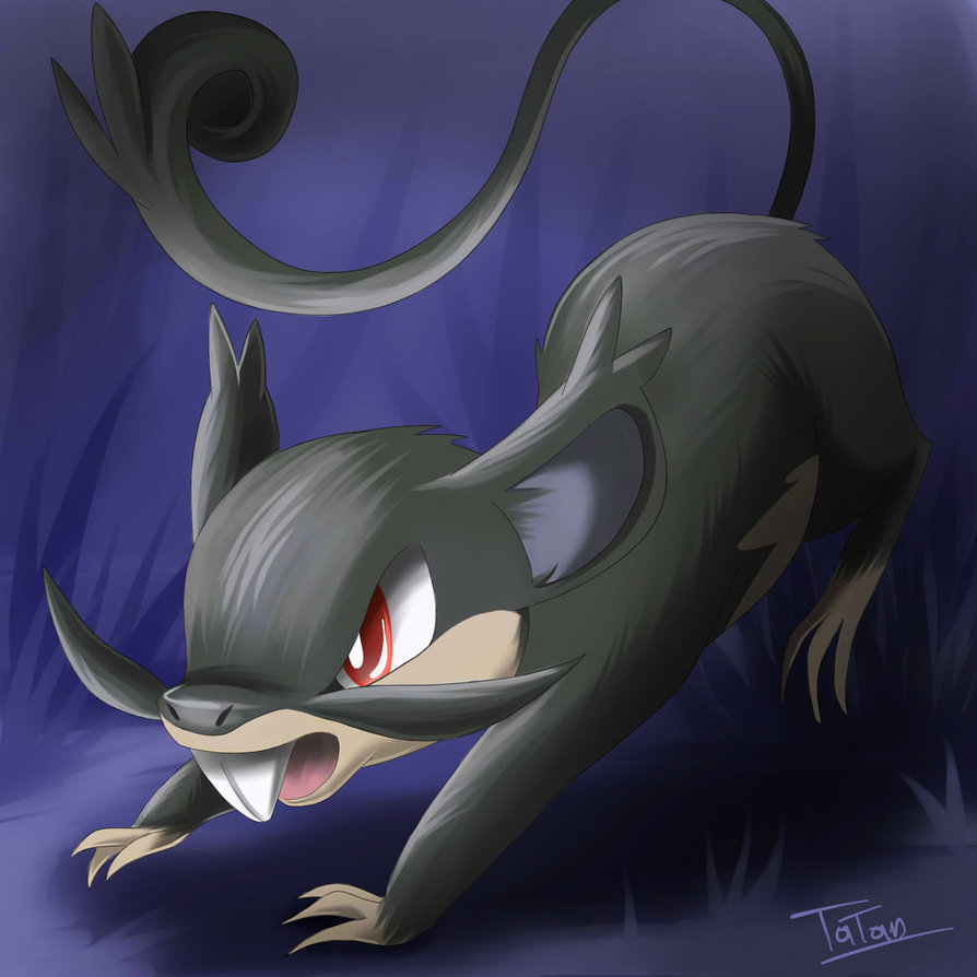 Rattata Pokemon Wallpaper Image