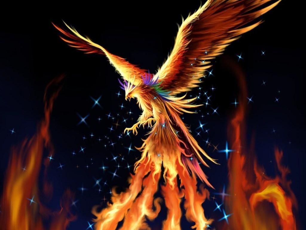 Free download Phoenix Live Images HD Wallpapers BsnSCB Graphics ...