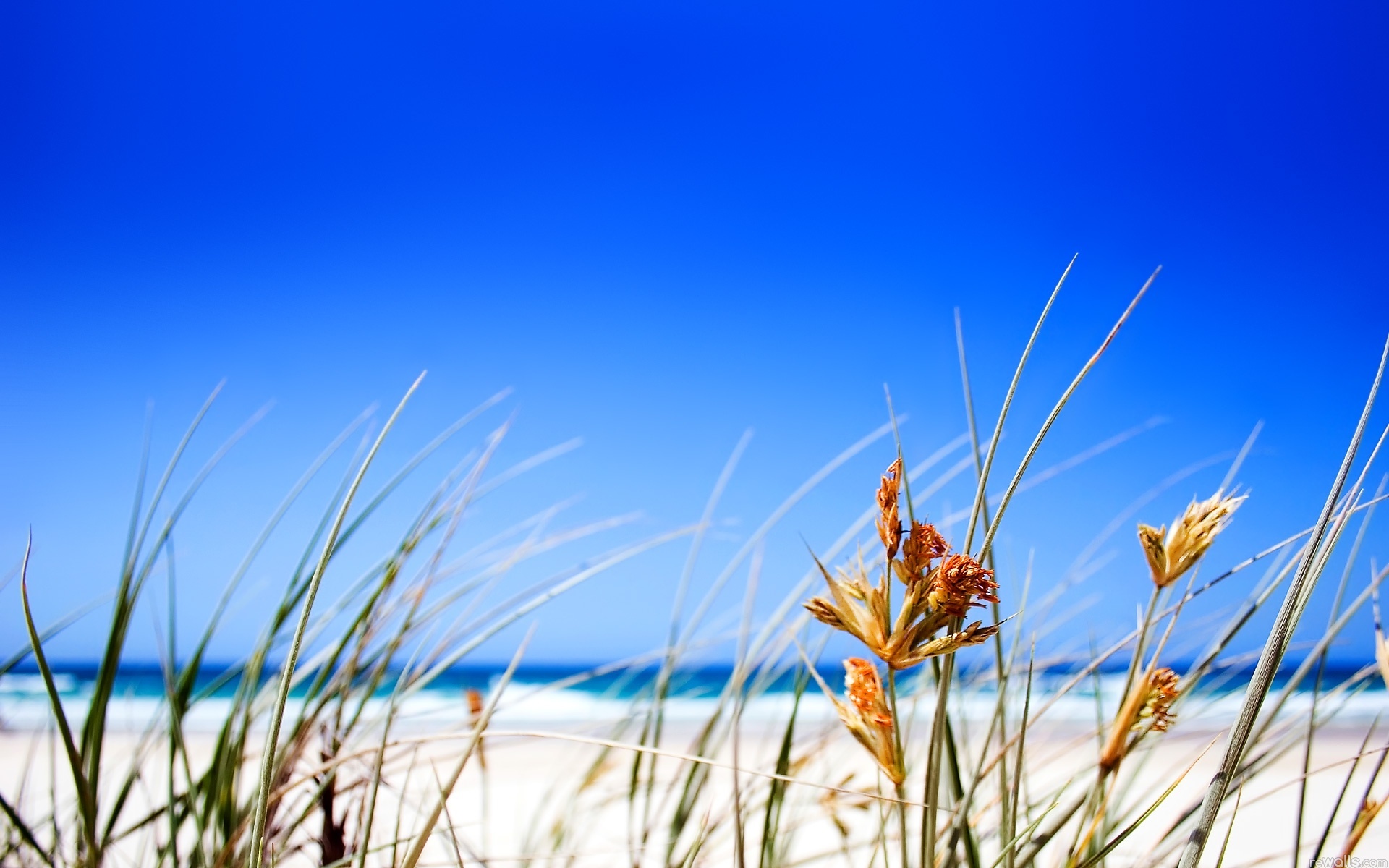 Clear Beach Sky Wallpaper