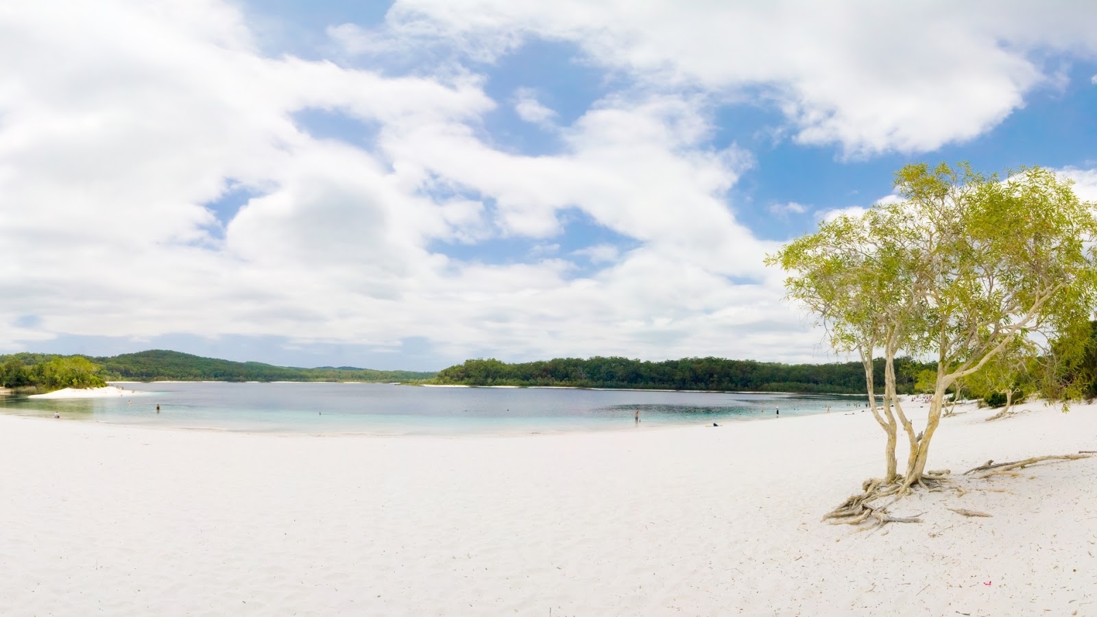 Make This Wallpaper For Your Desktop Tablet Beach And