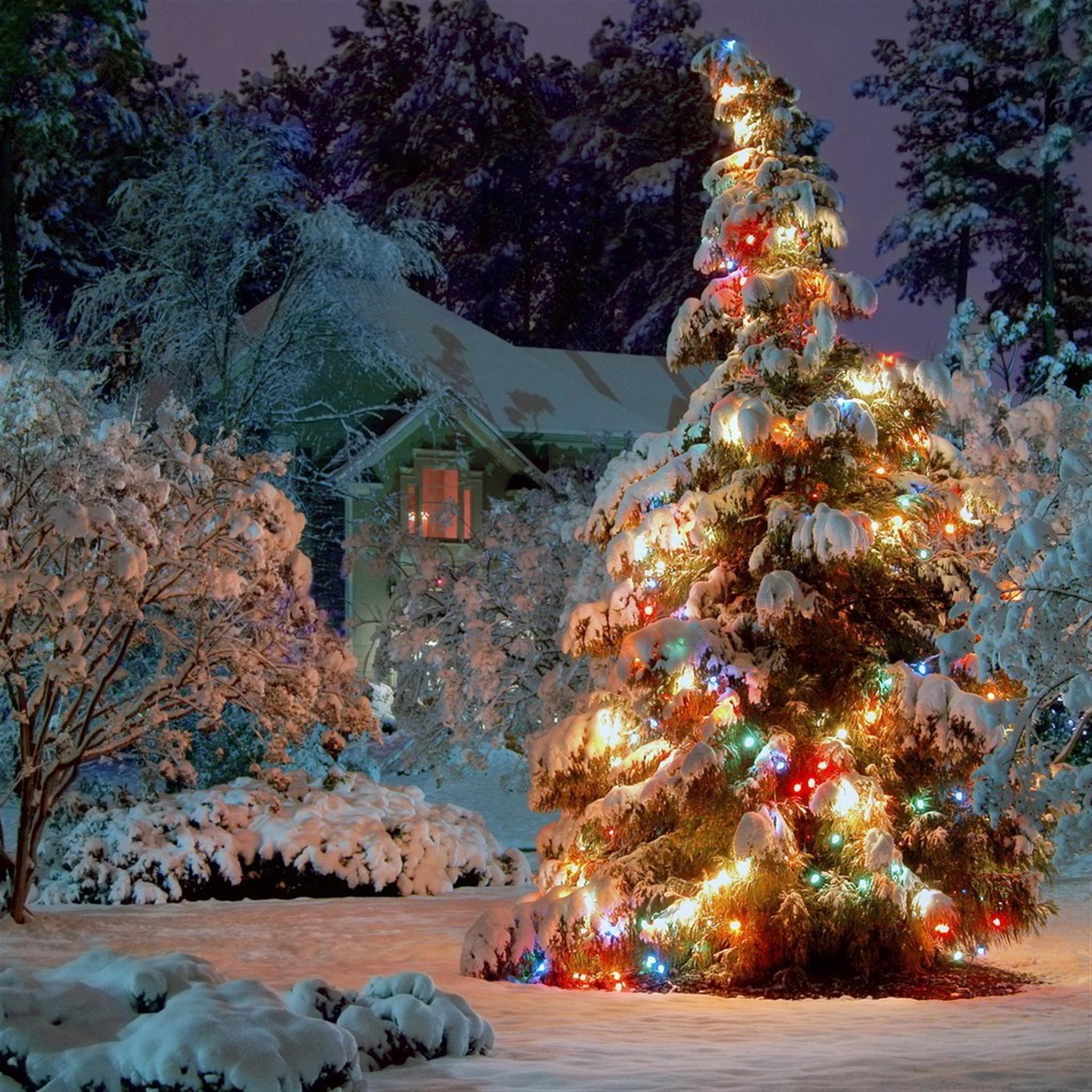 A snow-covered Christmas tree adorned with colorful lights stands in front of a house, also covered in snow, at night. The scene evokes a warm, festive, and traditional Christmas spirit