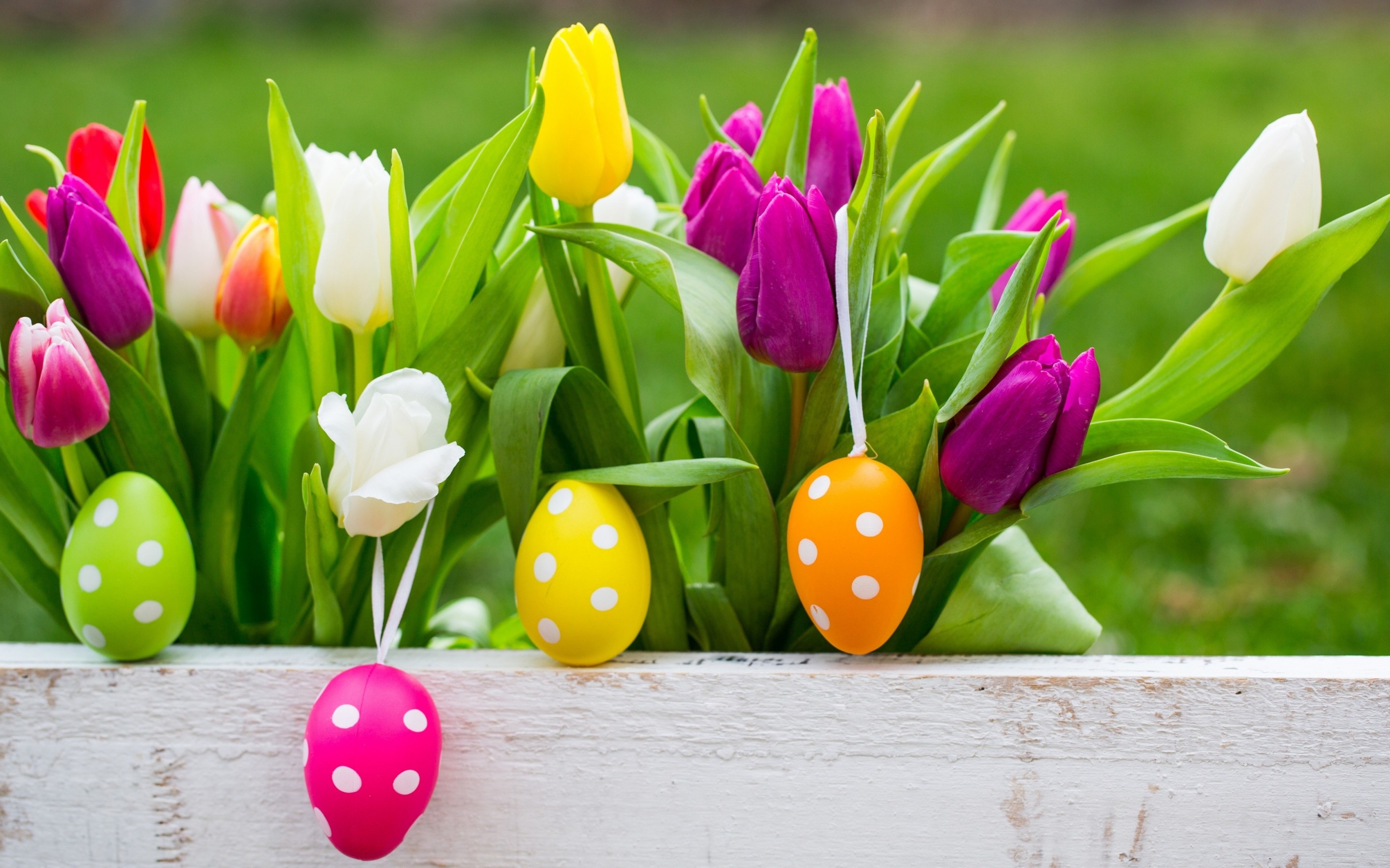 Easter Eggs On Flowers Background X Close