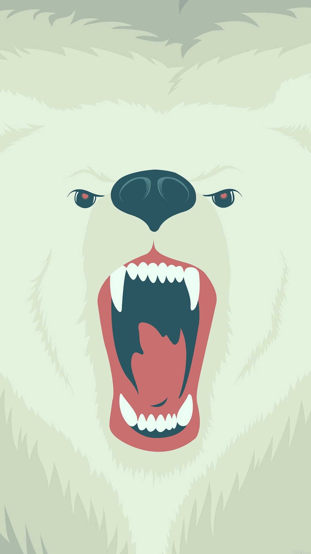 Fierce Polar Bear Winter iPhone Plus HD Wallpaper Ipod