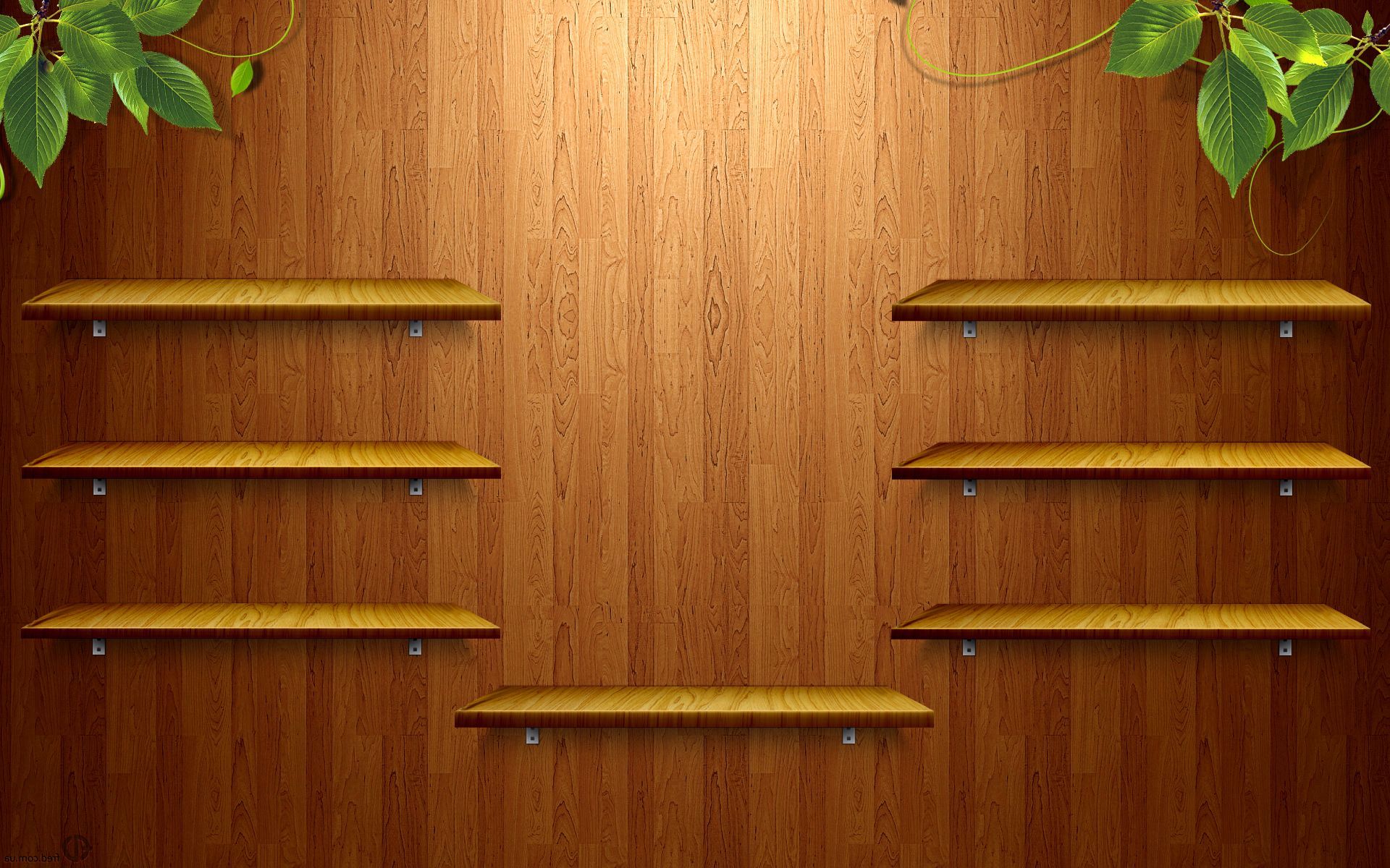 Wooden shelves Wallpaper 7977
