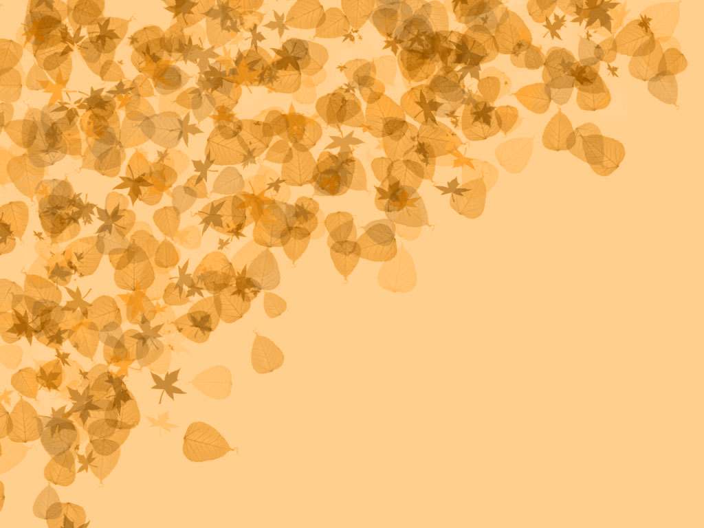  Autumn Leaves Yellow Backgrounds For PowerPoint   Flower PPT Templates