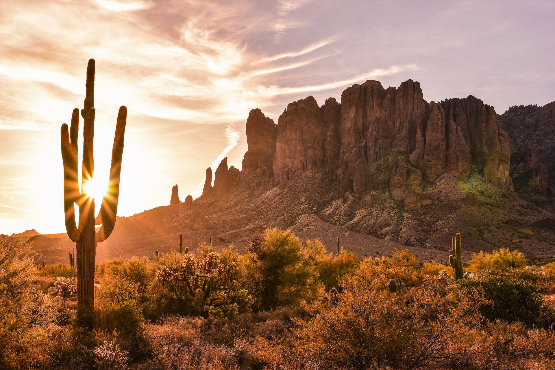 Desert Wallpaper