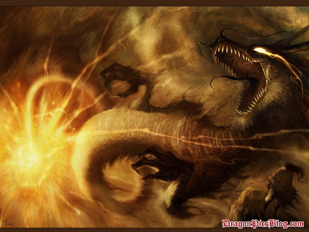 Cool Fire Dragon Wallpaper Pictures
