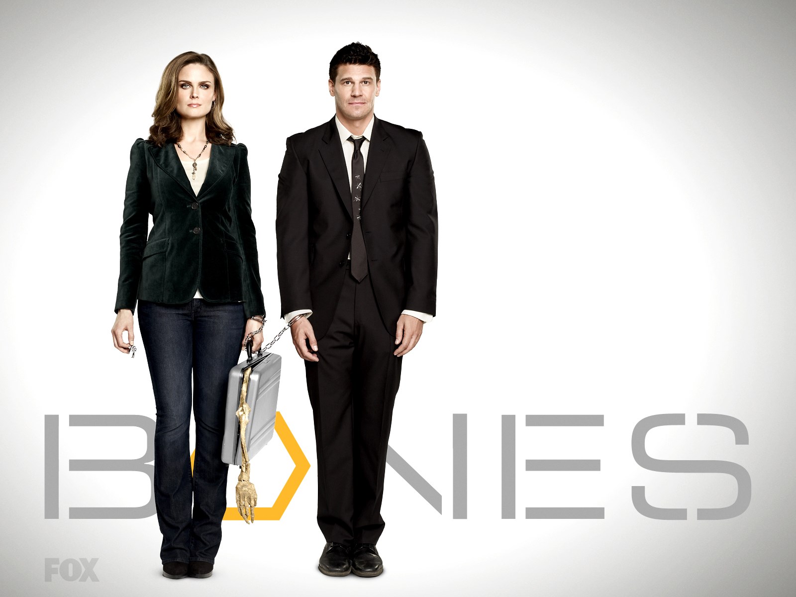 Bones Wallpaper For Desktop