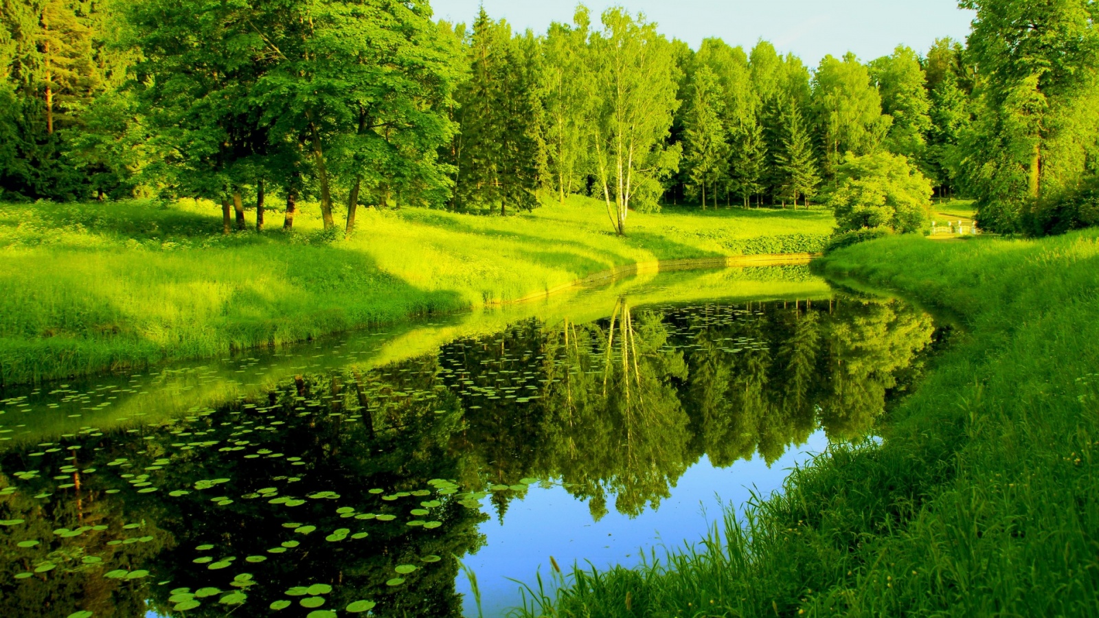 Nature Trees River Reflection Wallpaper