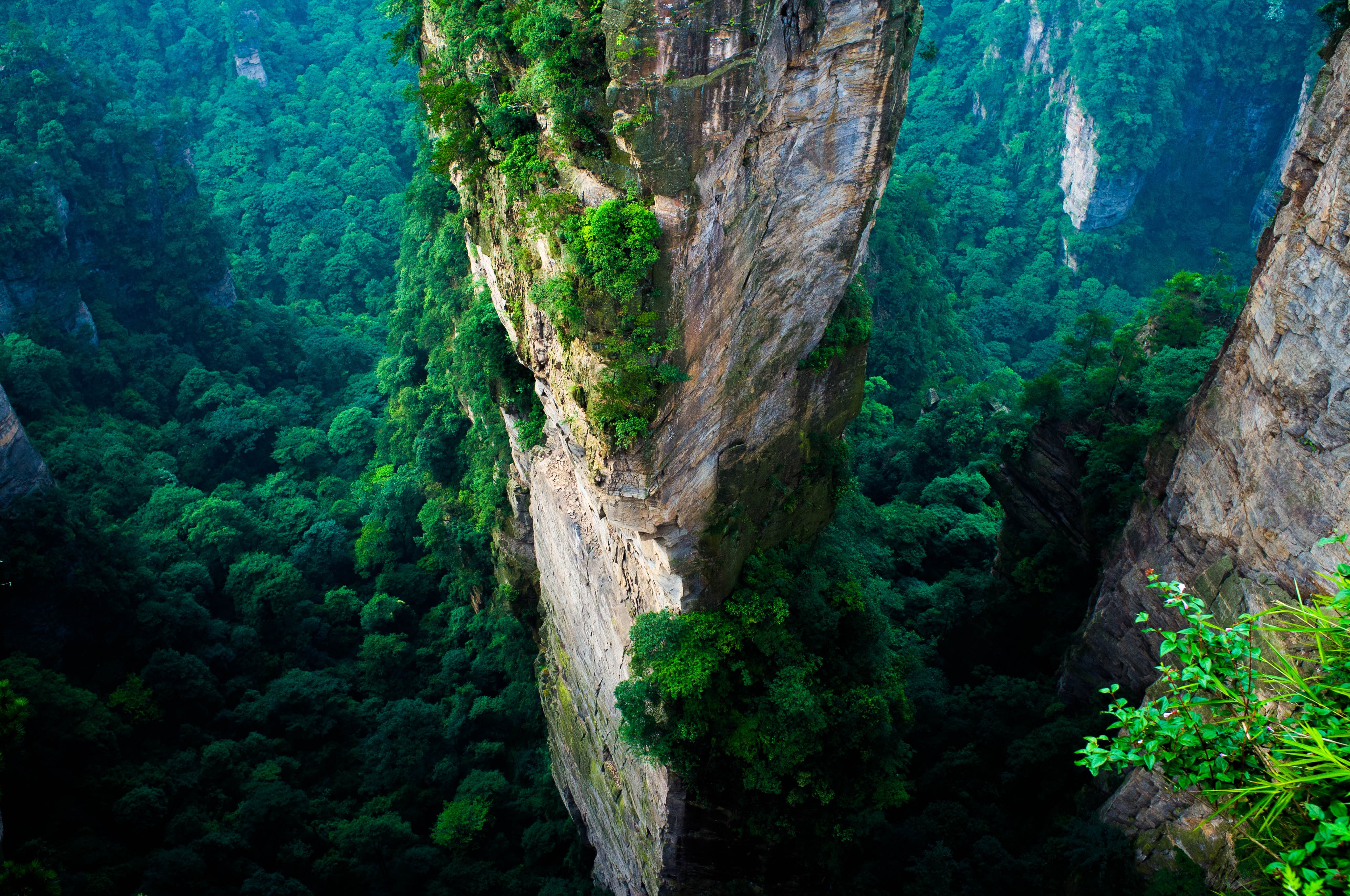 forest China Cliff Mountain Green Summer National Park