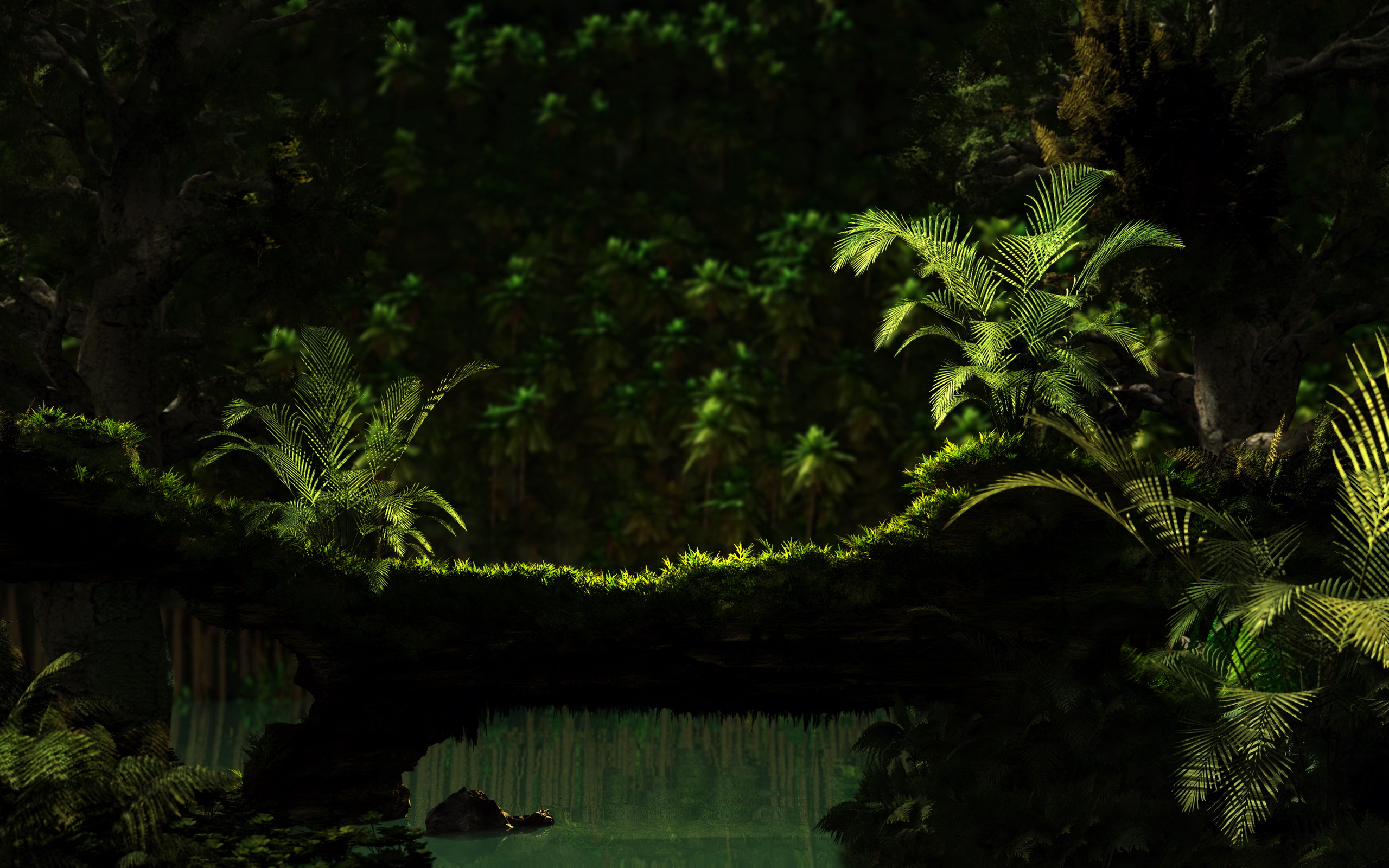 Download Jungle HD Backgrounds Free