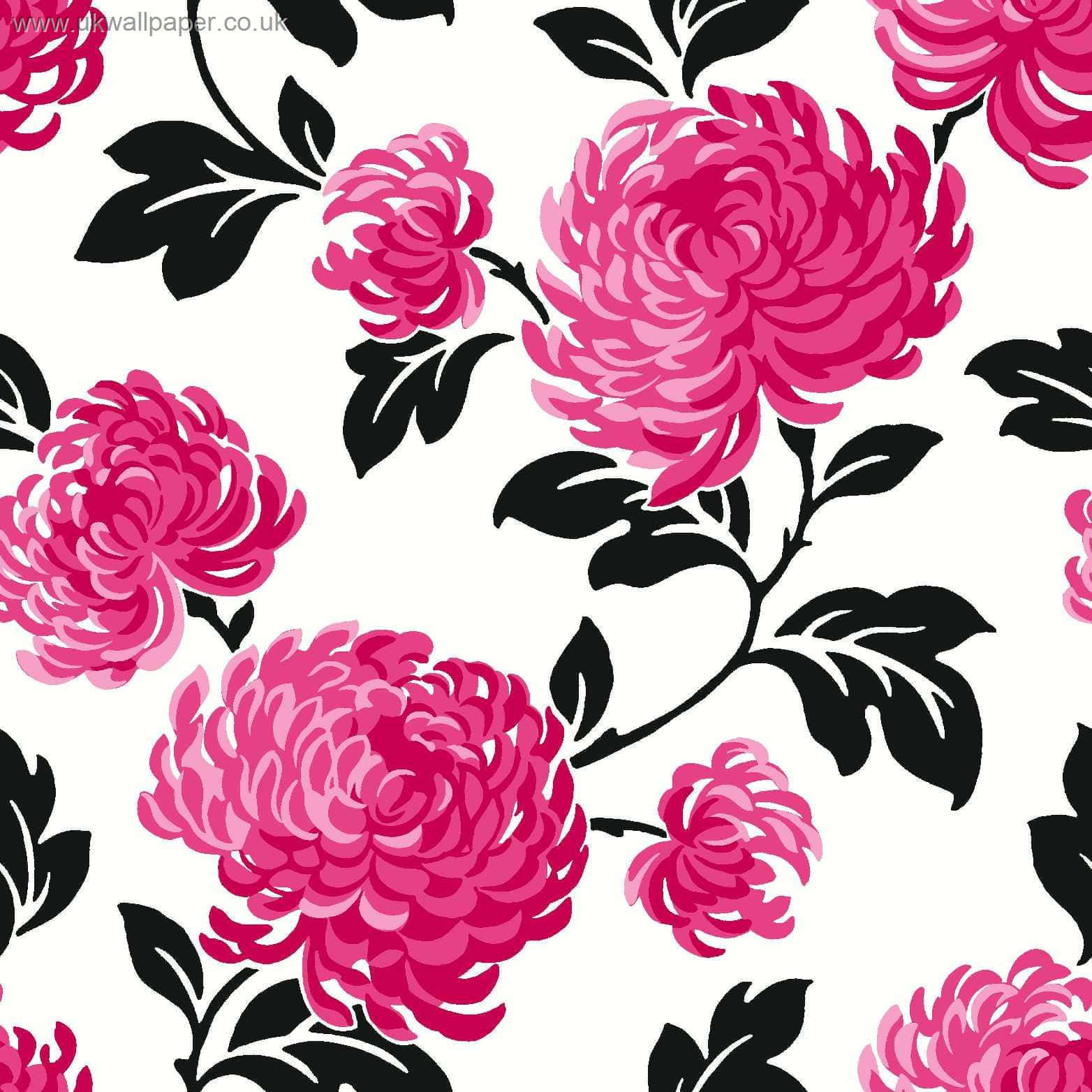 Pink Black And White Wallpaper