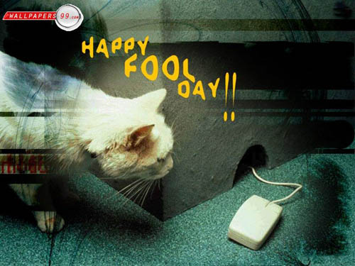 April Fools Day Cat And Mice Wallpaper