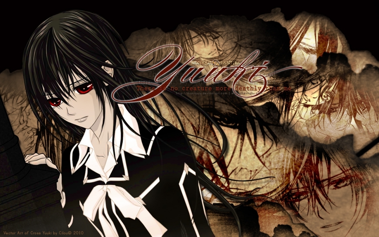 Vampire Knight images Vampire Knight HD wallpaper and background