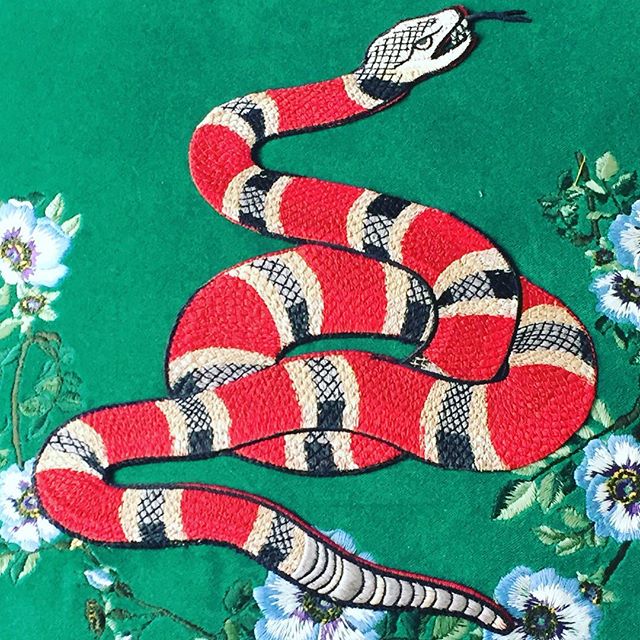 Gucci And This Is The Snake Vision For Cushion I Am