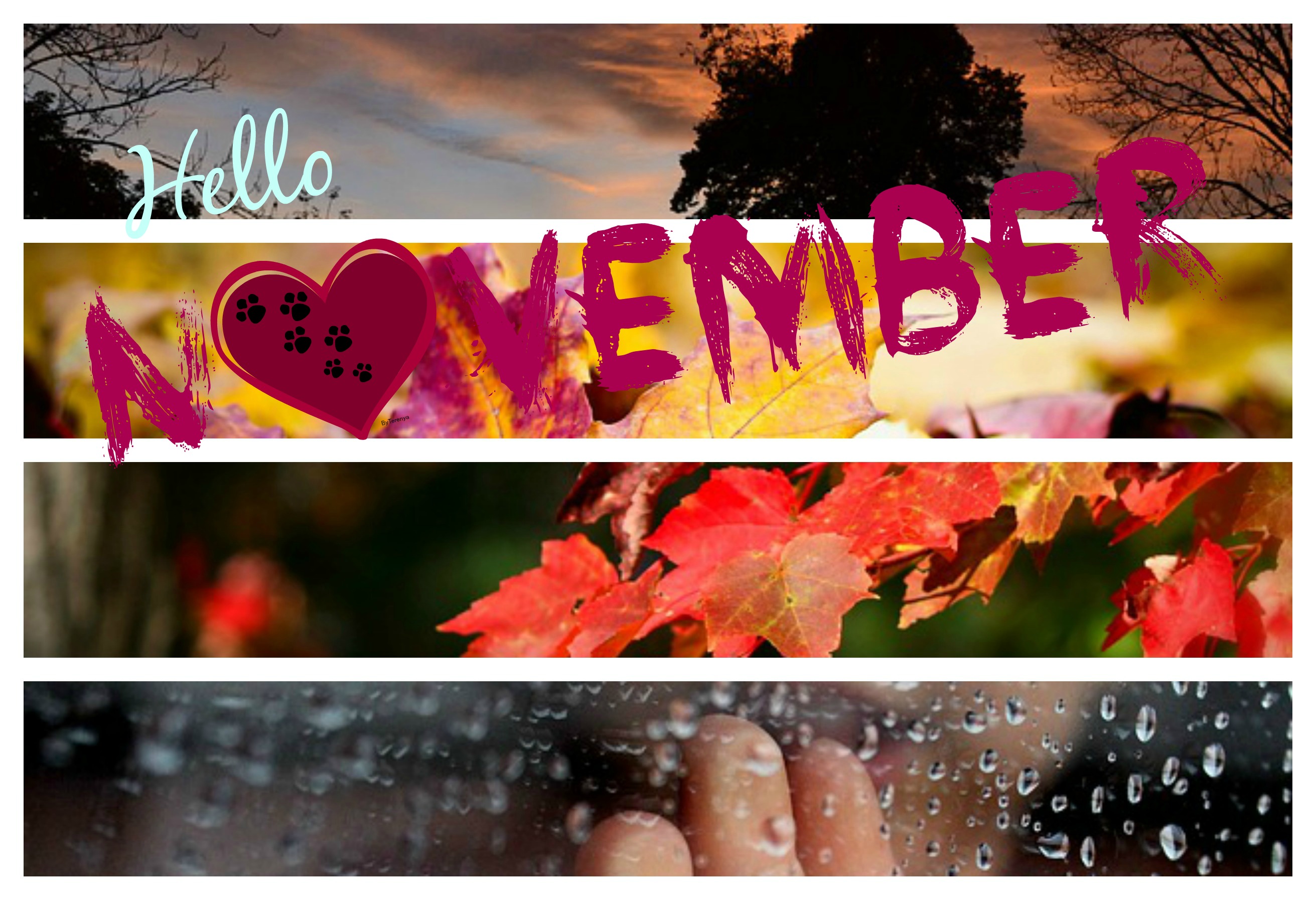 Hello November HD Wallpaper