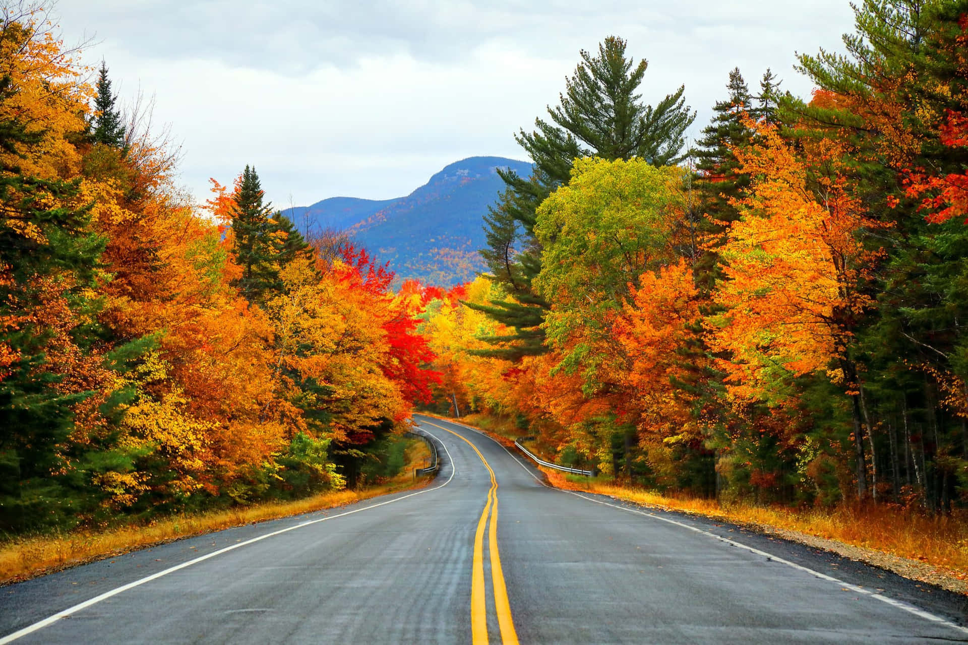 Experience The Beauty Of Autumn Foliage Wallpaper