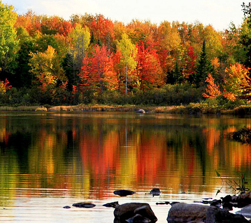 46 Maine Fall Foliage Wallpaper Wallpapersafari