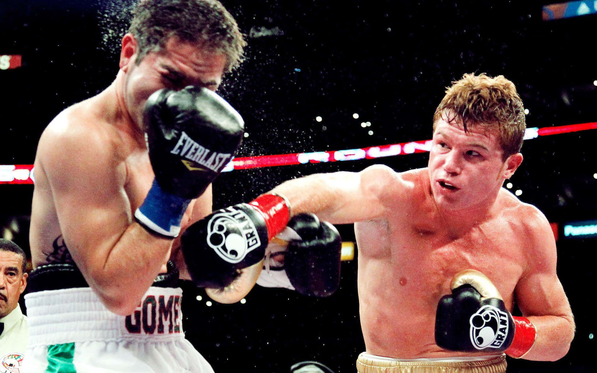 Saul Canelo Alvarez Wallpaper