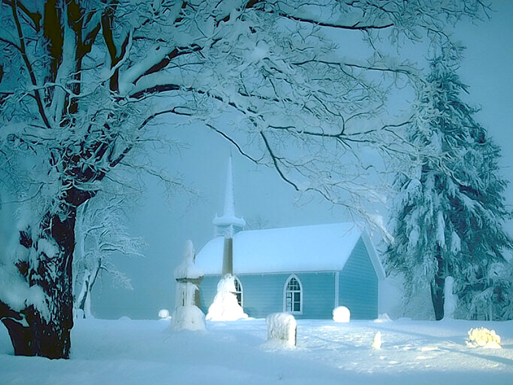 Winter Snow Wrapped Wallpaper World
