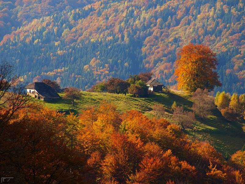 Best Wallpaper Romanian Autumn