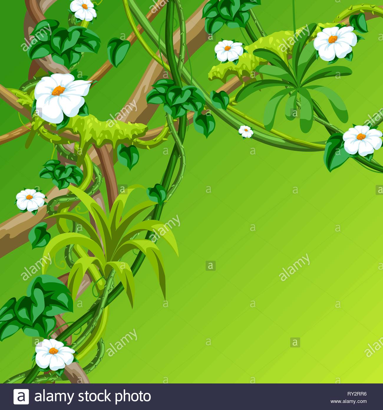 Twisted Wild Lianas Branches Background Jungle Vines Plants Stock