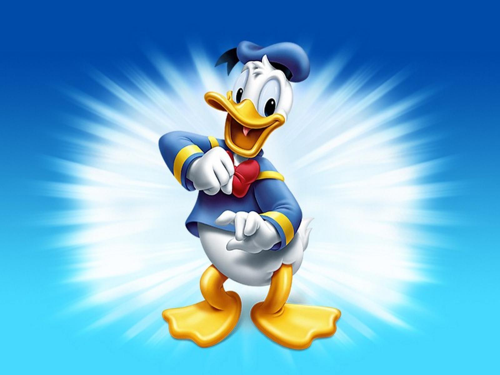 Animated Cartoon Pictures Duck Wallpaper Funny