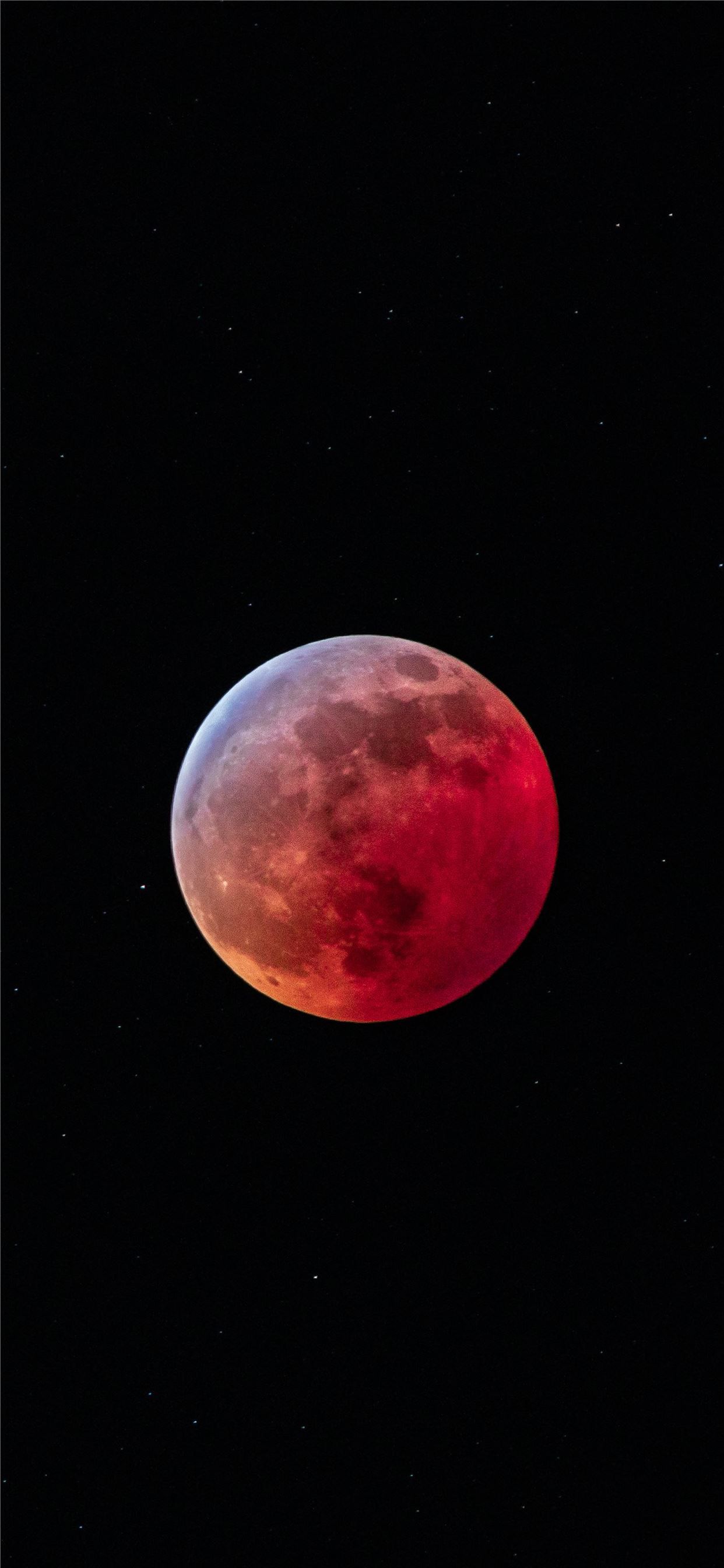 Blood Aesthetic Wallpaper