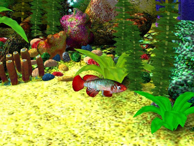 Free 3D Aquarium Screensaver Download   Free 3D Aqua Screensaver