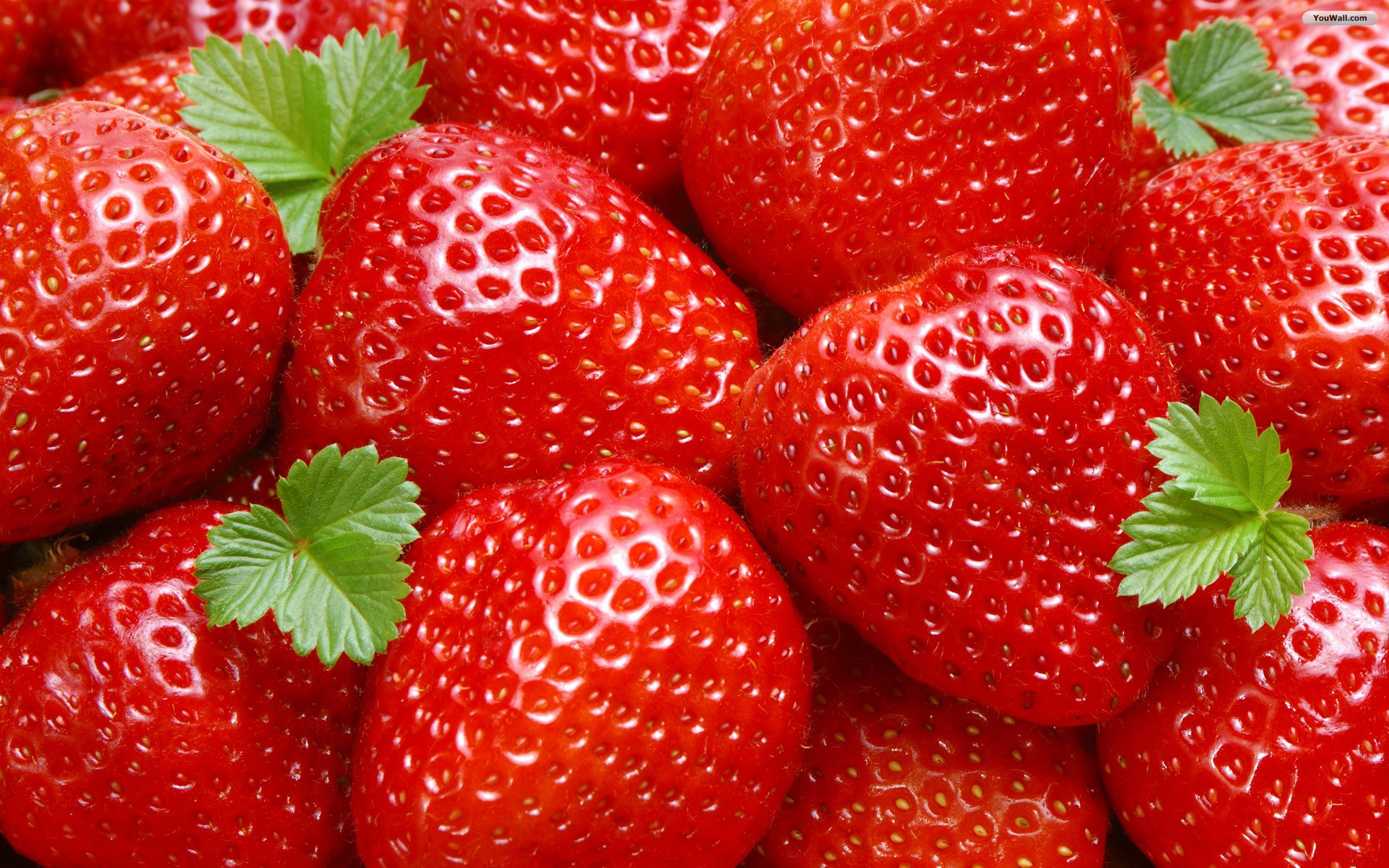 Youwall Strawberry Wallpaper