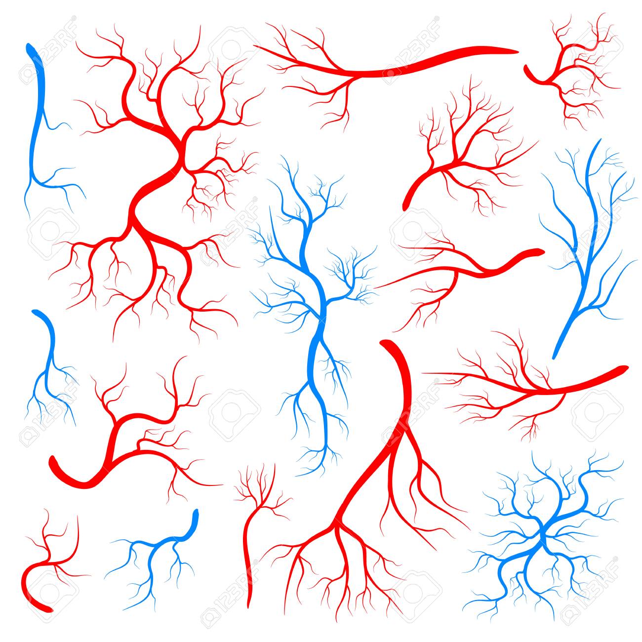 Creative Vector Illustration Of Red Veins Isolated On Background