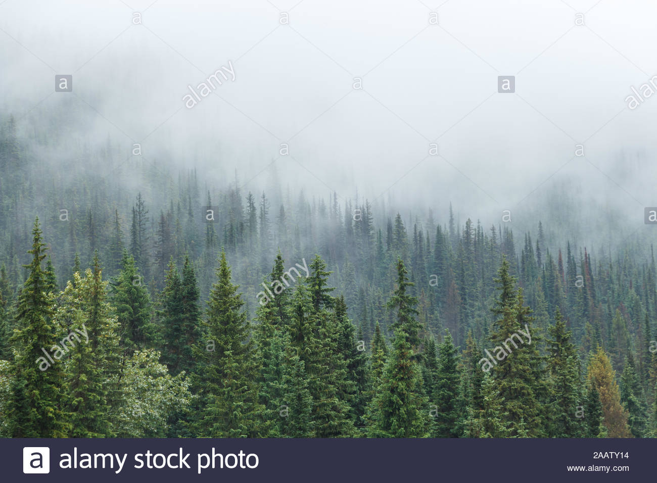 Eerie Background High Resolution Stock Photography and Images