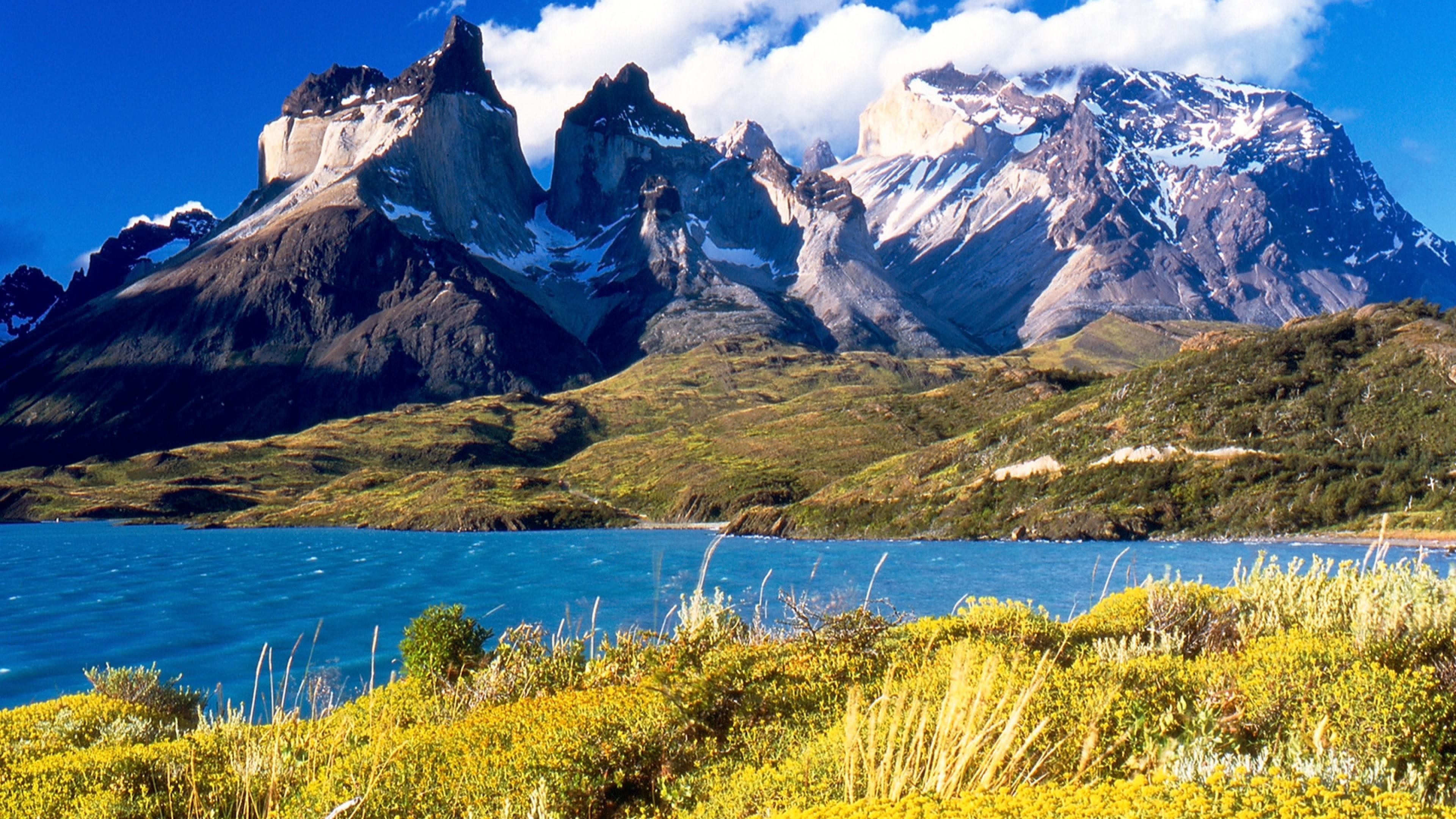 South America Wallpaper
