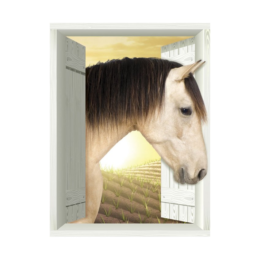  AMD7025 Horse Plain Removable Large Wallpaper Mural Lowes Canada
