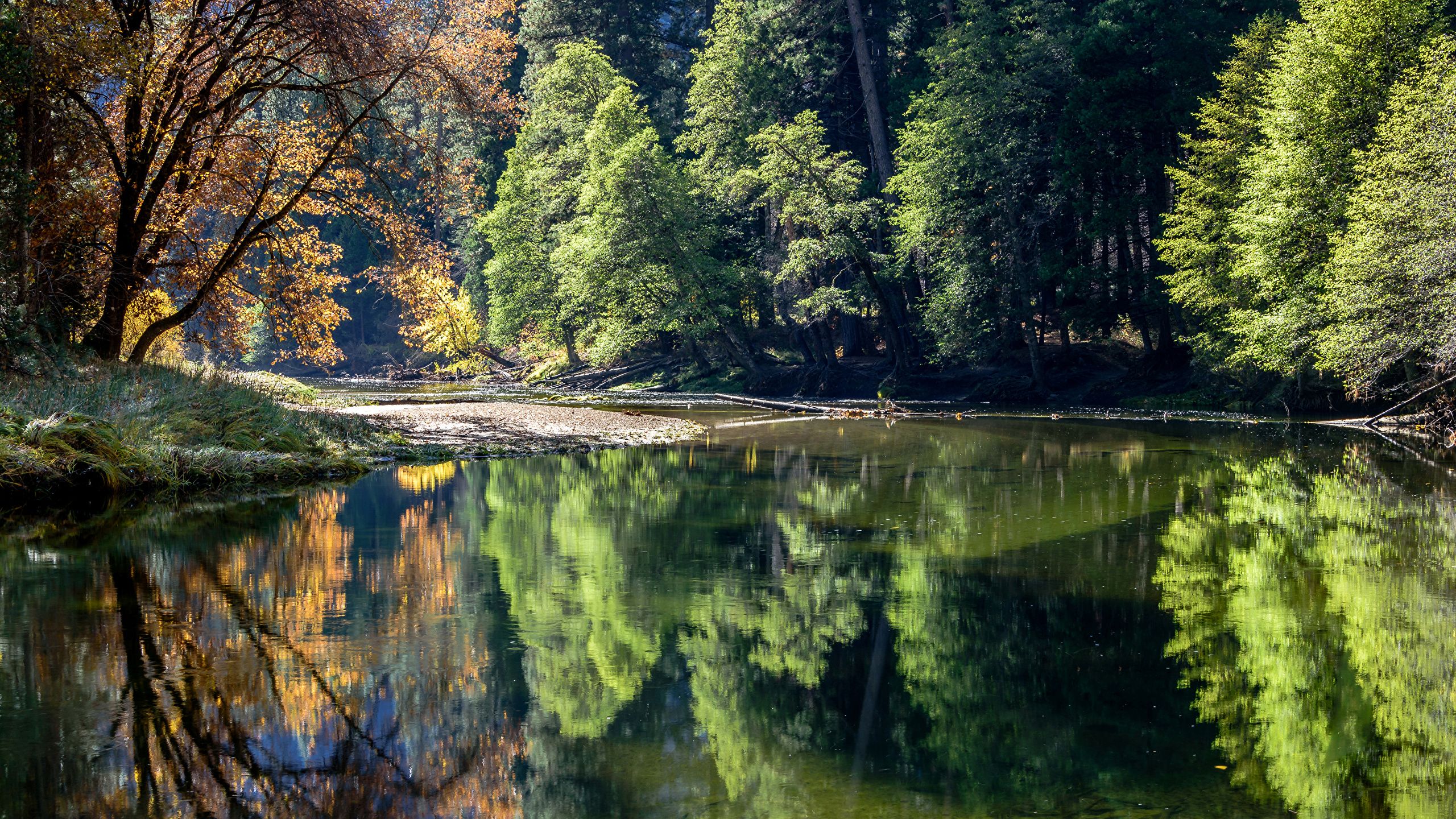 Nature Wallpaper On